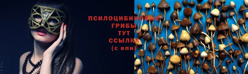 закладка  Уяр  Галлюциногенные грибы Magic Shrooms 